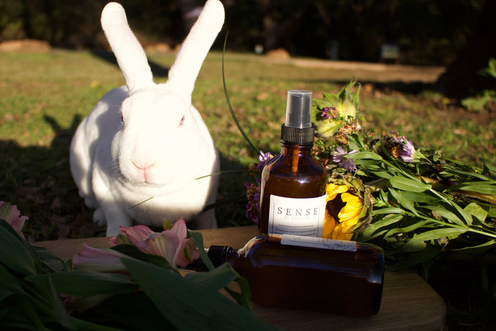 Tallowé's Non-toxic Perfume
